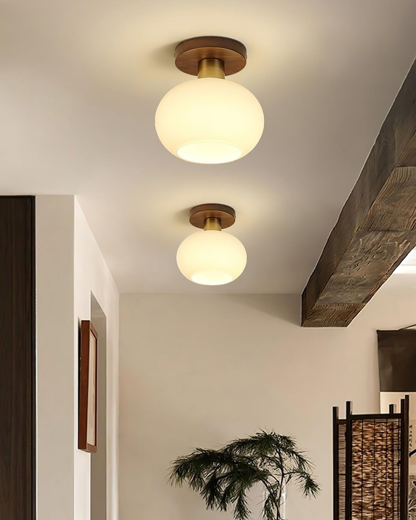 White Shell Ceiling-mounted light Ceiling Lamp