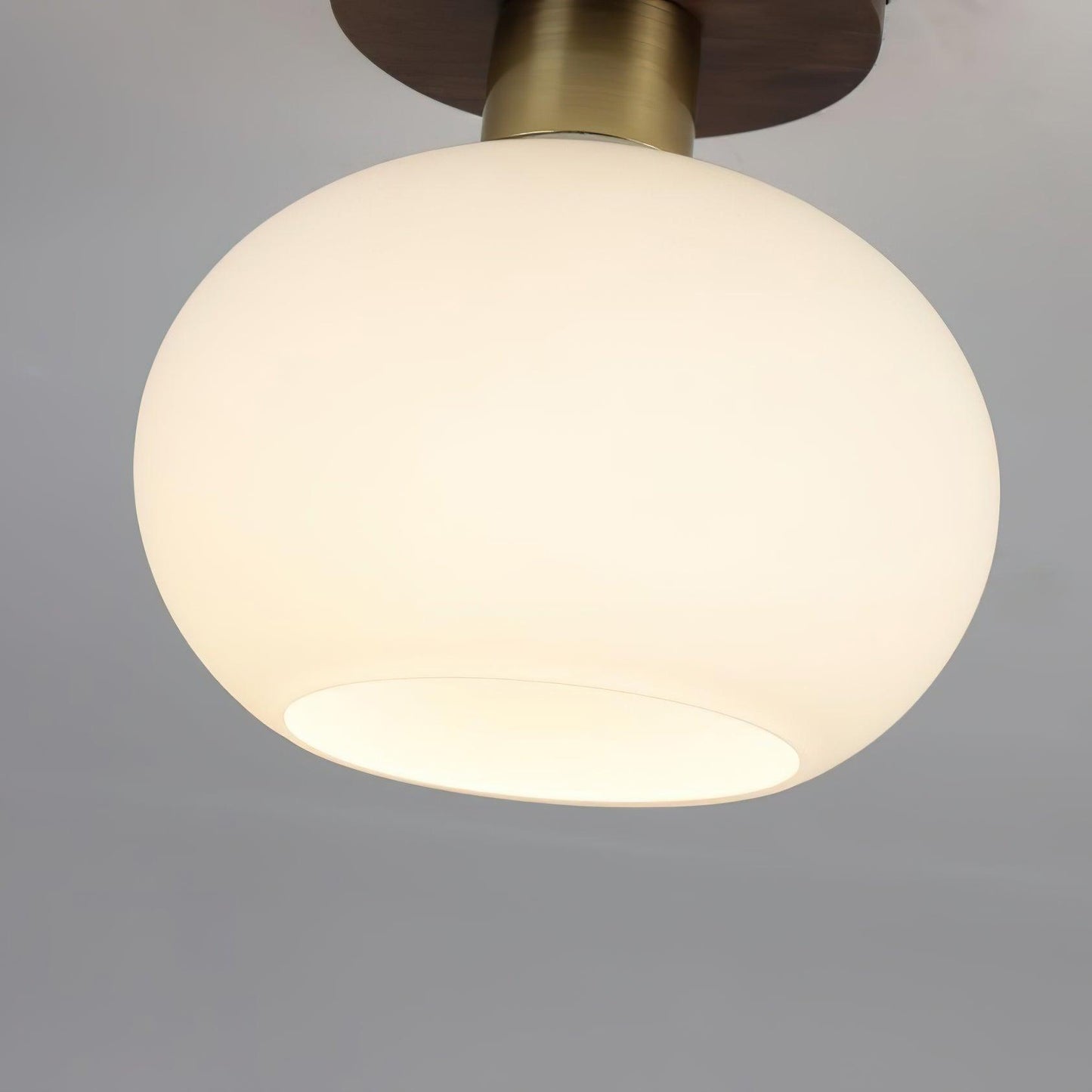 White Shell Ceiling-mounted light Ceiling Lamp