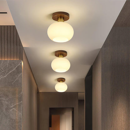 White Shell Ceiling-mounted light Ceiling Lamp