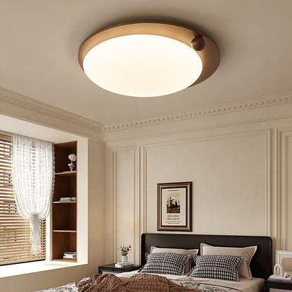 Wood Accent Ceiling Light
