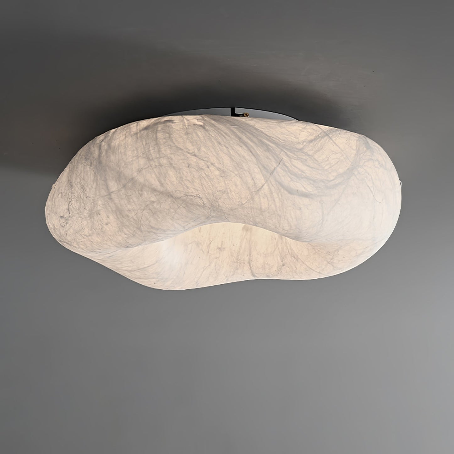 Yunduo Silk Ceiling fixture Ceiling Lamp