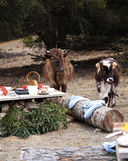 Zen Buddha Desk lamp Table Lamp