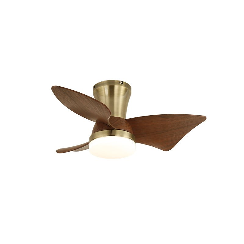 Zephyr Curve Ceiling Fan Light