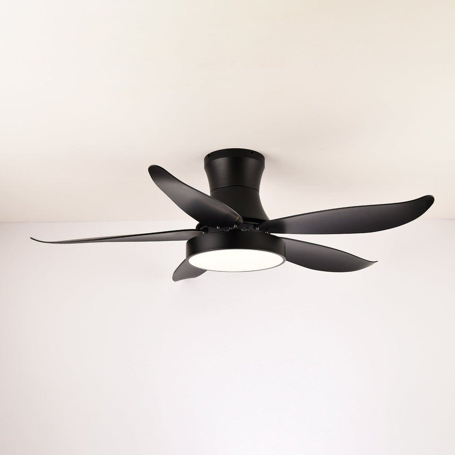 Zephyr Noir Ceiling Fan Light