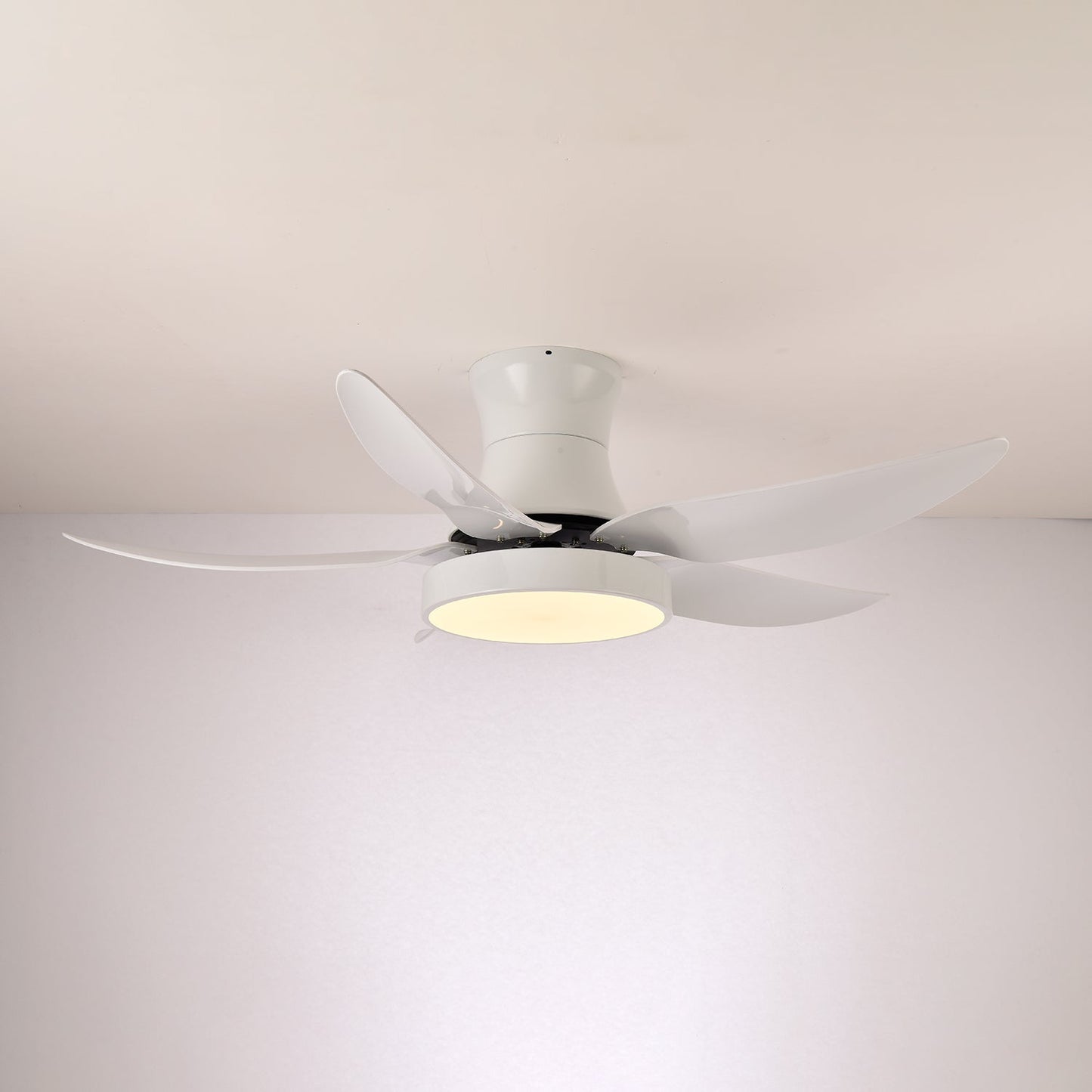 Zephyr Noir Ceiling Fan Light