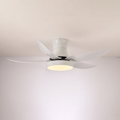 Zephyr Noir Ceiling Fan Light