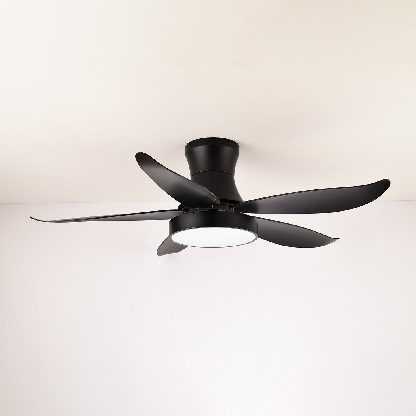 Zephyr Noir Ceiling Fan Light