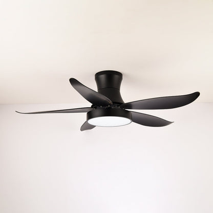 Zephyr Noir Ceiling Fan Light