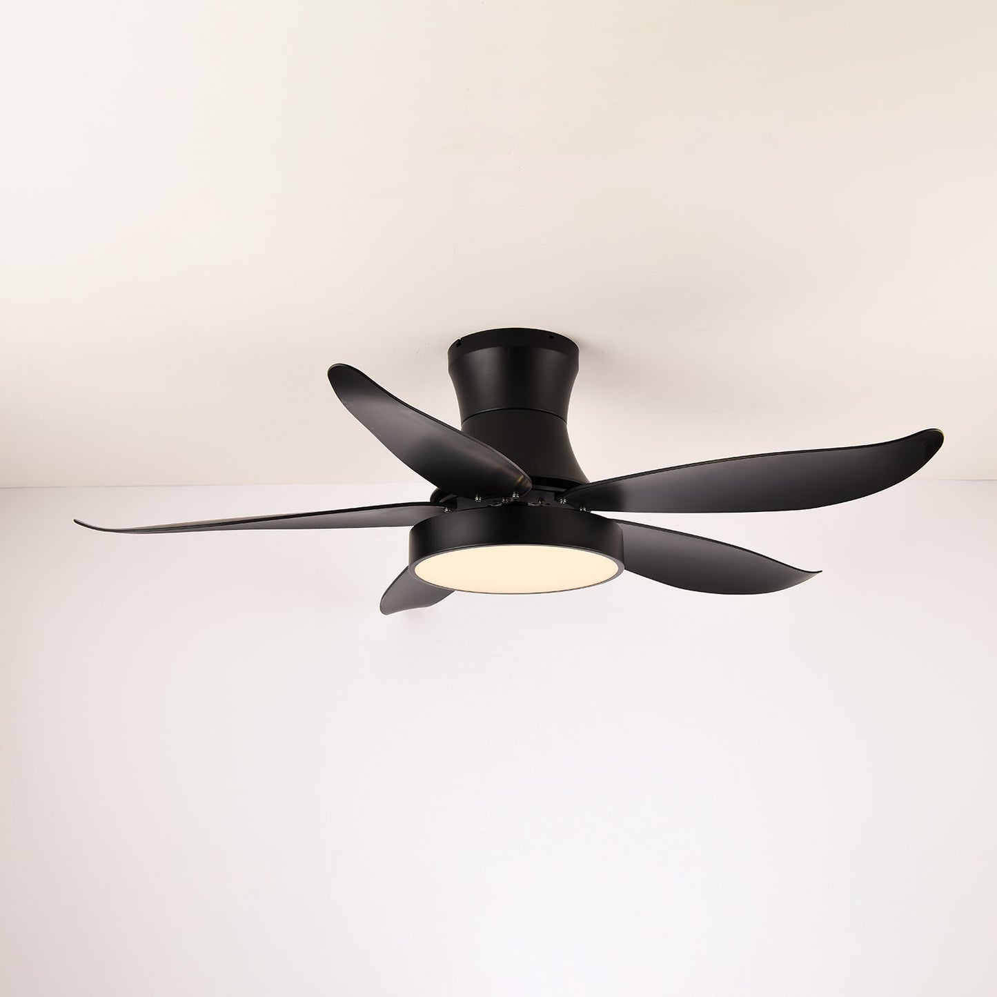 Zephyr Noir Ceiling Fan Light