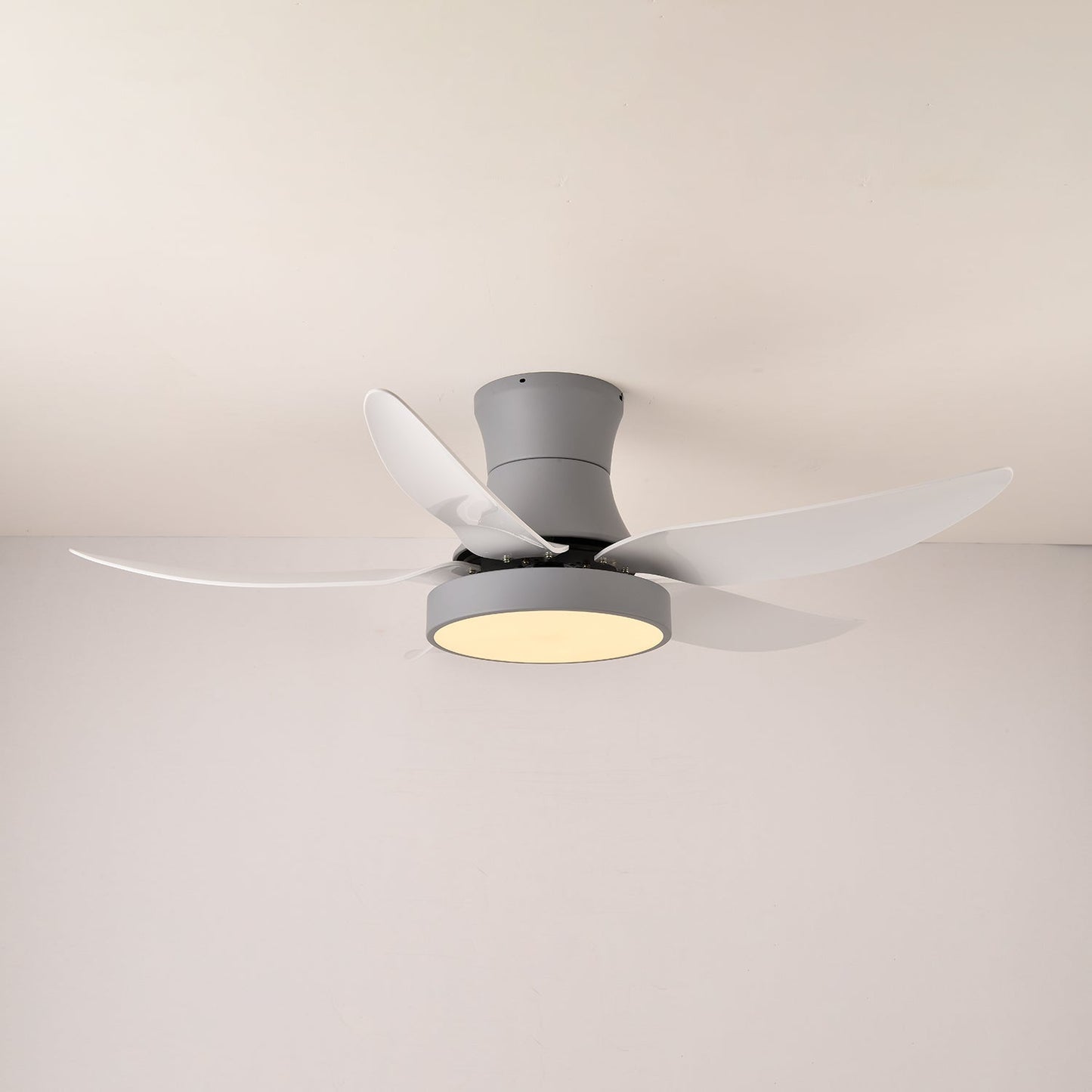 Zephyr Noir Ceiling Fan Light