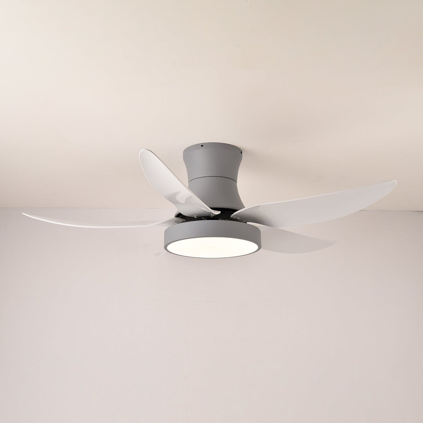 Zephyr Noir Ceiling Fan Light