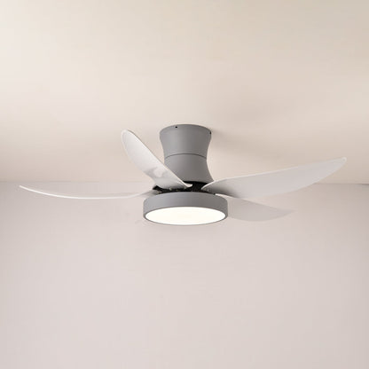 Zephyr Noir Ceiling Fan Light