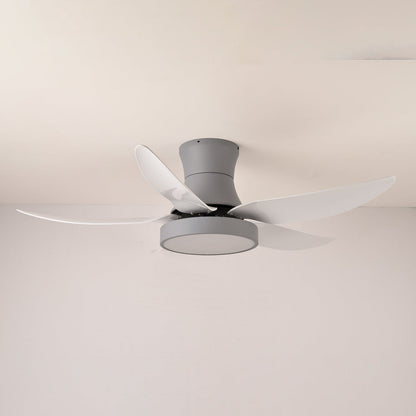 Zephyr Noir Ceiling Fan Light