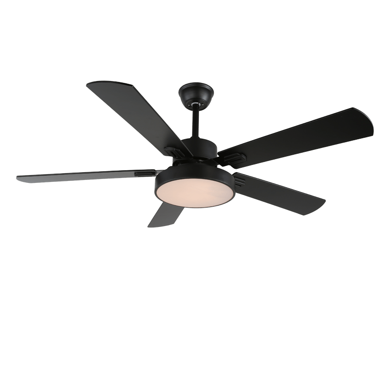 Zephyris Ceiling Fan Light