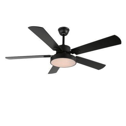 Zephyris Ceiling Fan Light