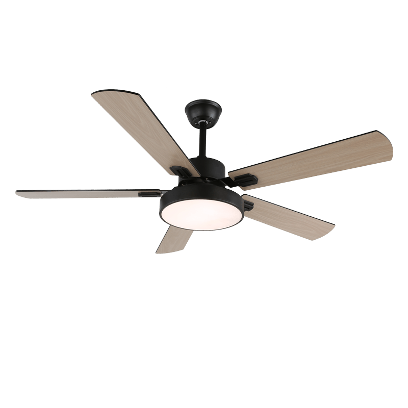Zephyris Ceiling Fan Light