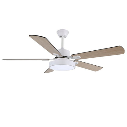 Zephyris Ceiling Fan Light