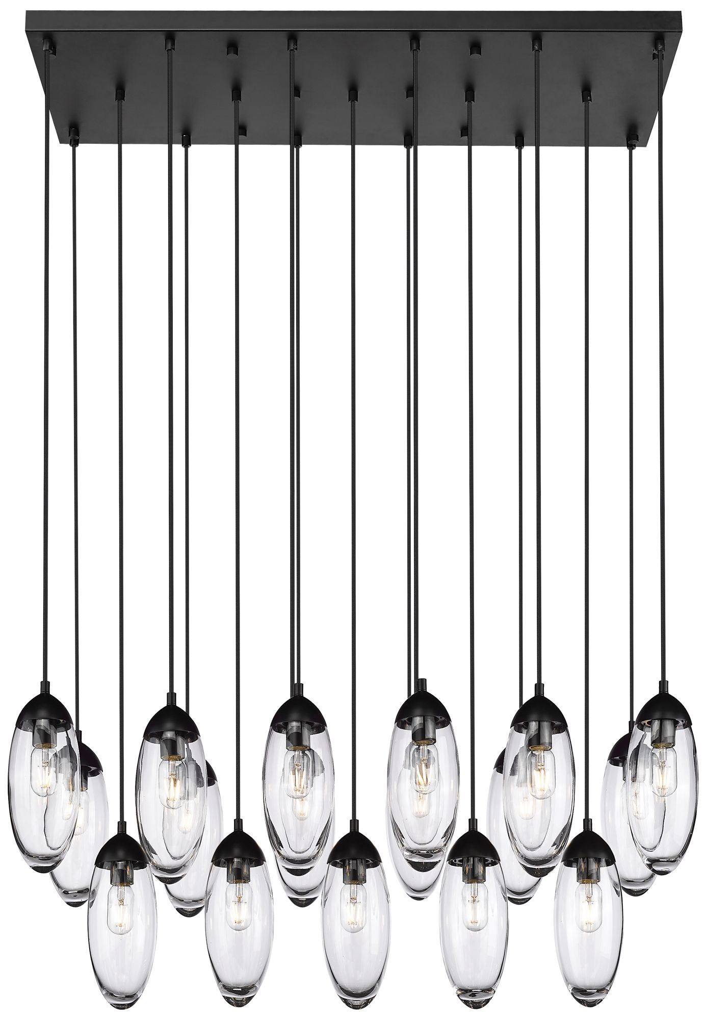 Arden by Z-Lite Matte Black 17 Light Linear Chandelier