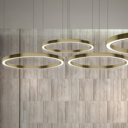 Contemporary Round Downlight Chandelier