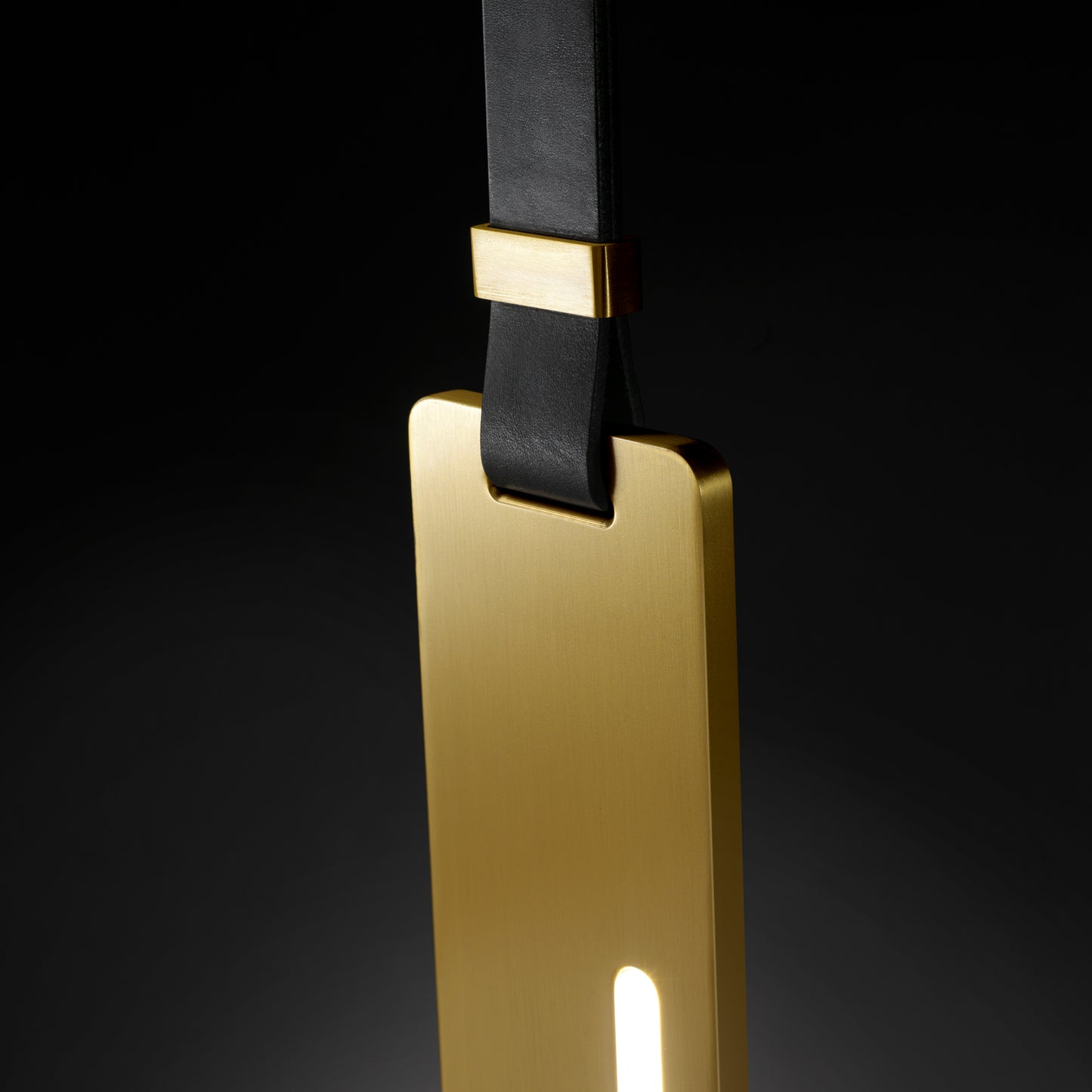 Contemporary Vertical Pendant Light