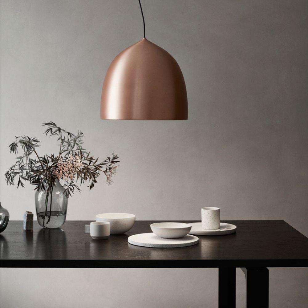 Suspence Houselight Pendant Light