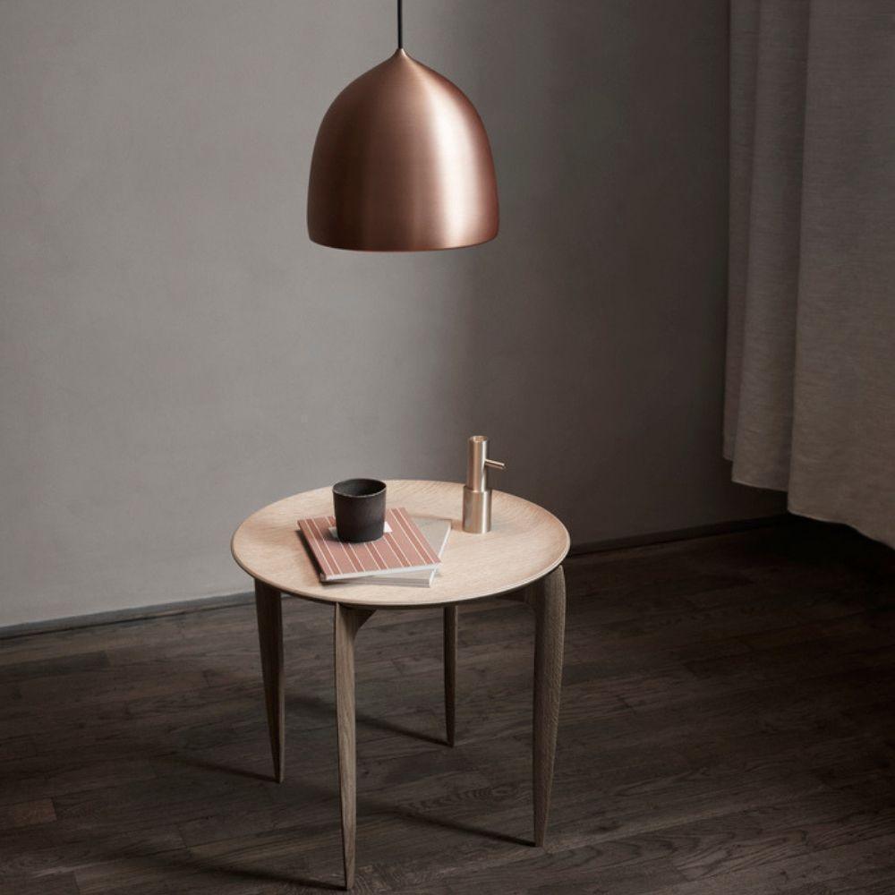 Suspence Houselight Pendant Light