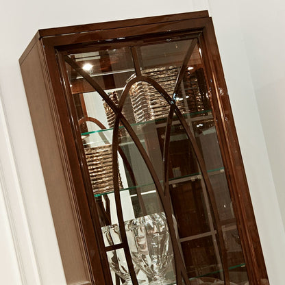 High End Wenge Modern Glamour Display Cabinet