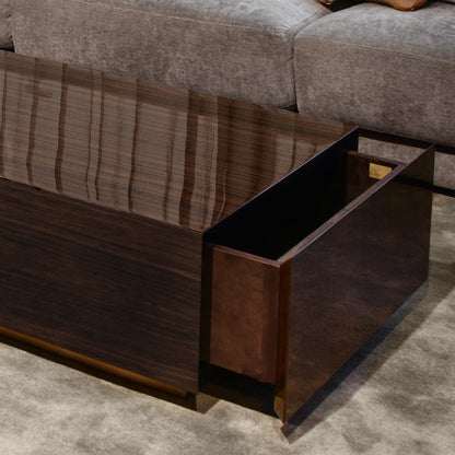 Italian Designer Walnut Veneer Storage Box Coffee Table