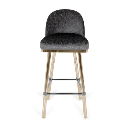 Modern Bar Stool