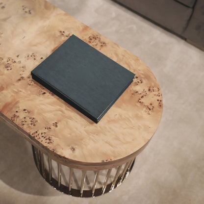 Modern Burl Veneer Coffee Table