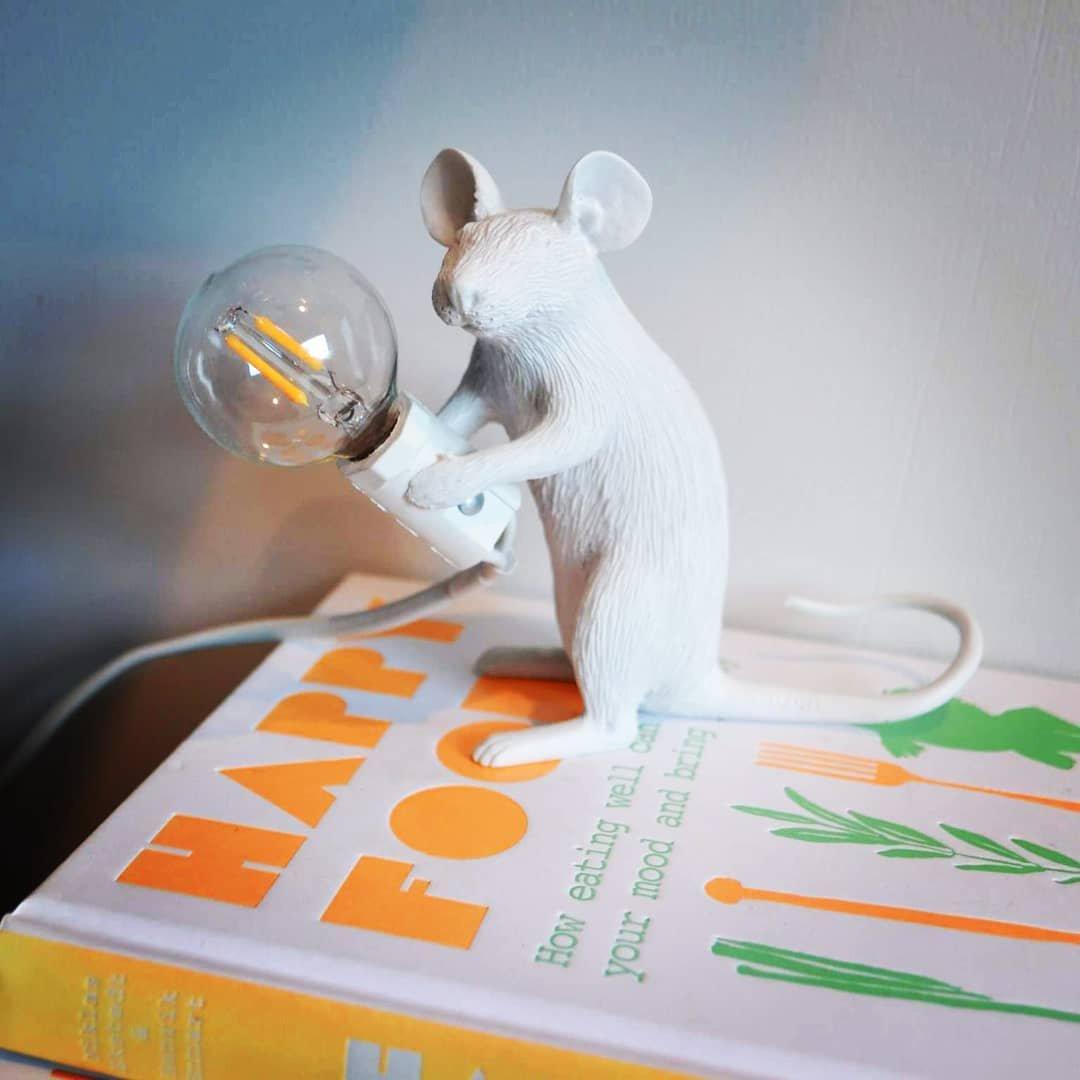 Mouse Work lamp Table Light