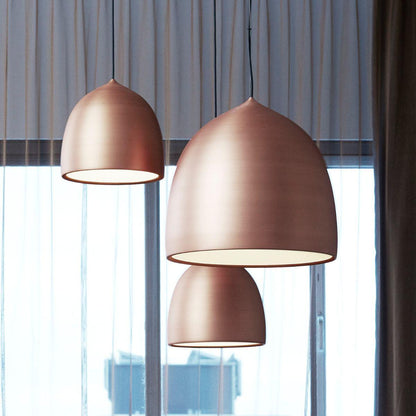 Suspence Houselight Pendant Light