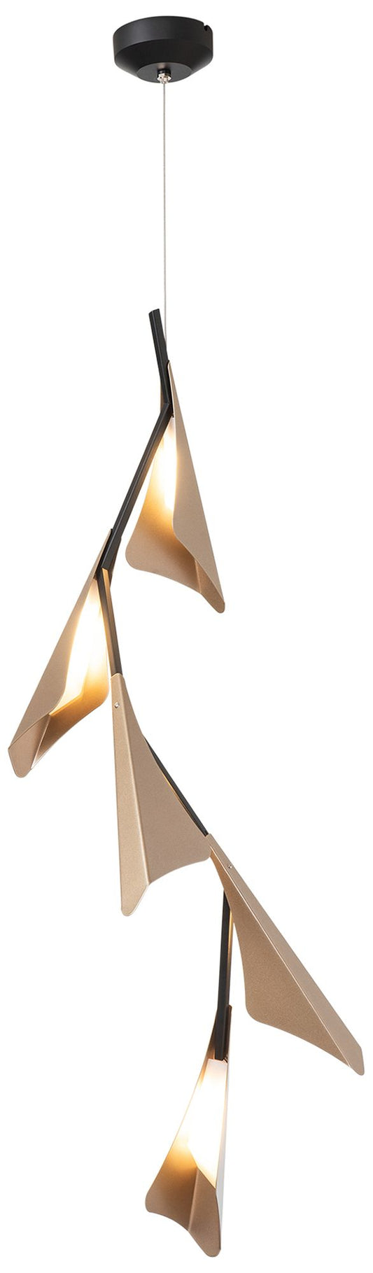 Plume 5-Light LED Pendant - Black Finish - Gold Accents - Standard Height