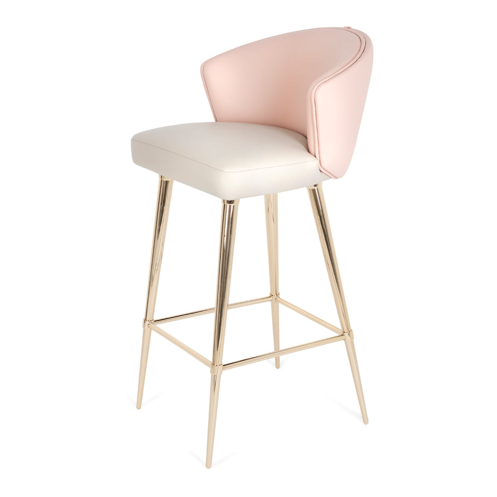 Two-Tone Leather Bar Stool