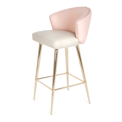 Two-Tone Leather Bar Stool