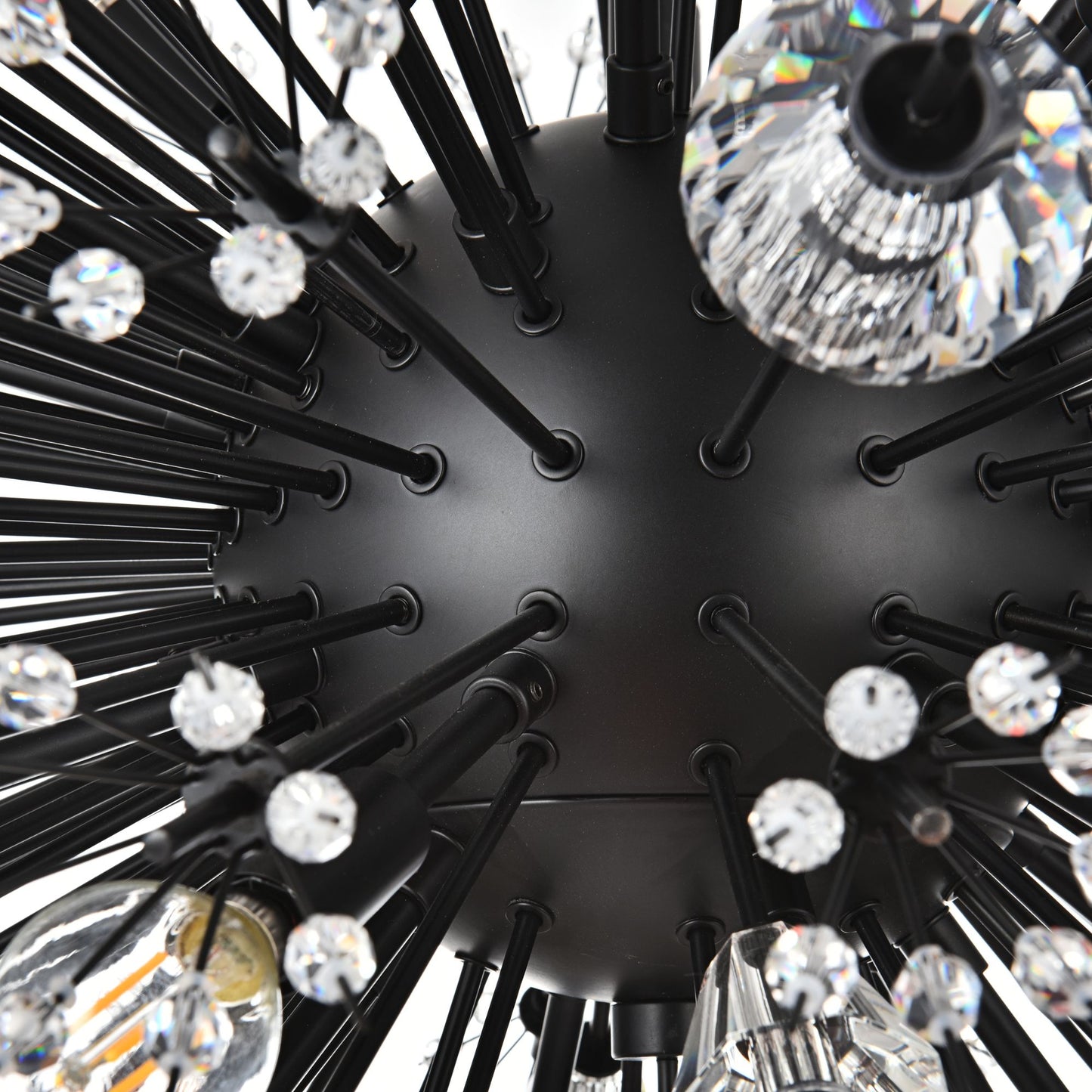 Vera 48" Crystal Starburst Oval Pendant In Black